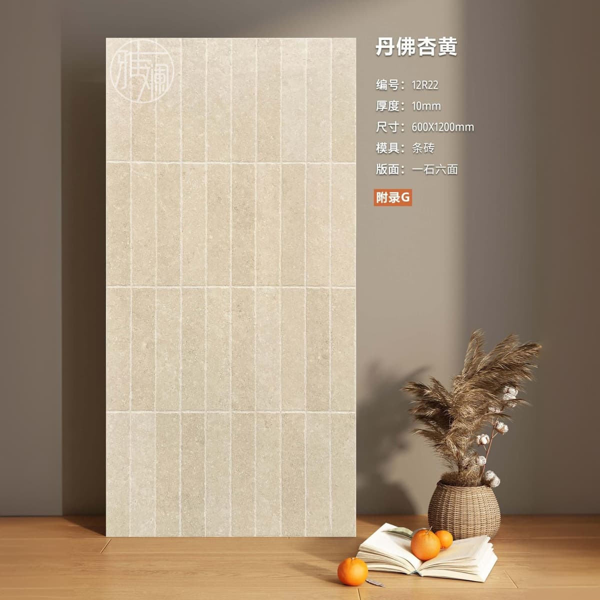 Style 6【high quality 43 ° White embryo]