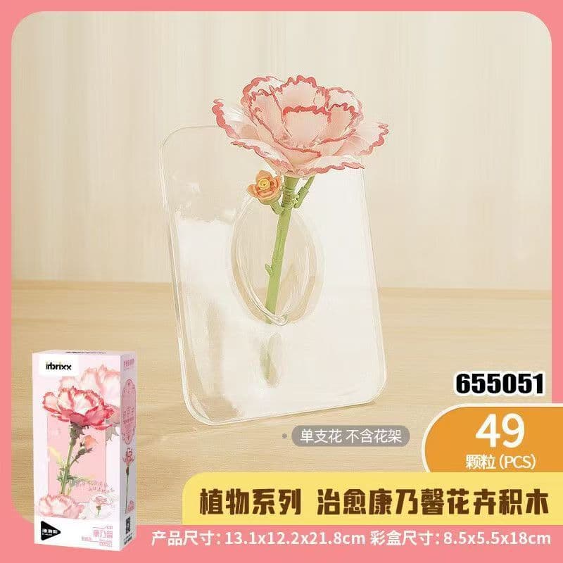 655051 carnation