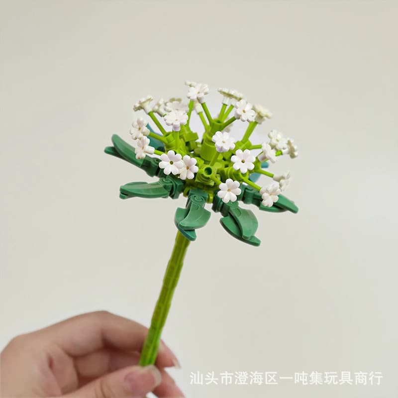 Xingqin