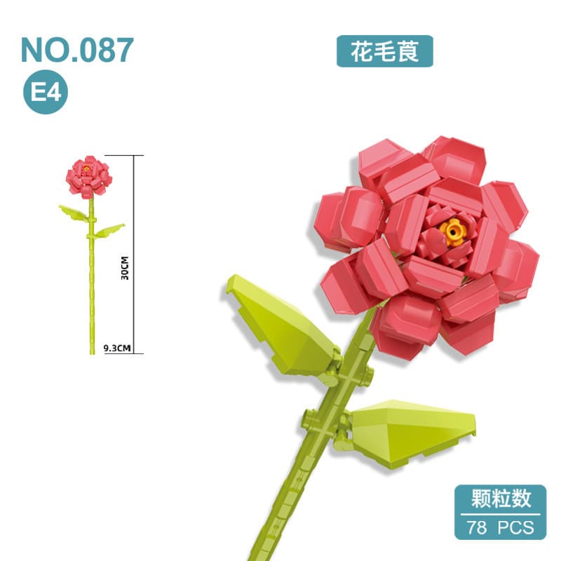 087e4 flowered anemone
