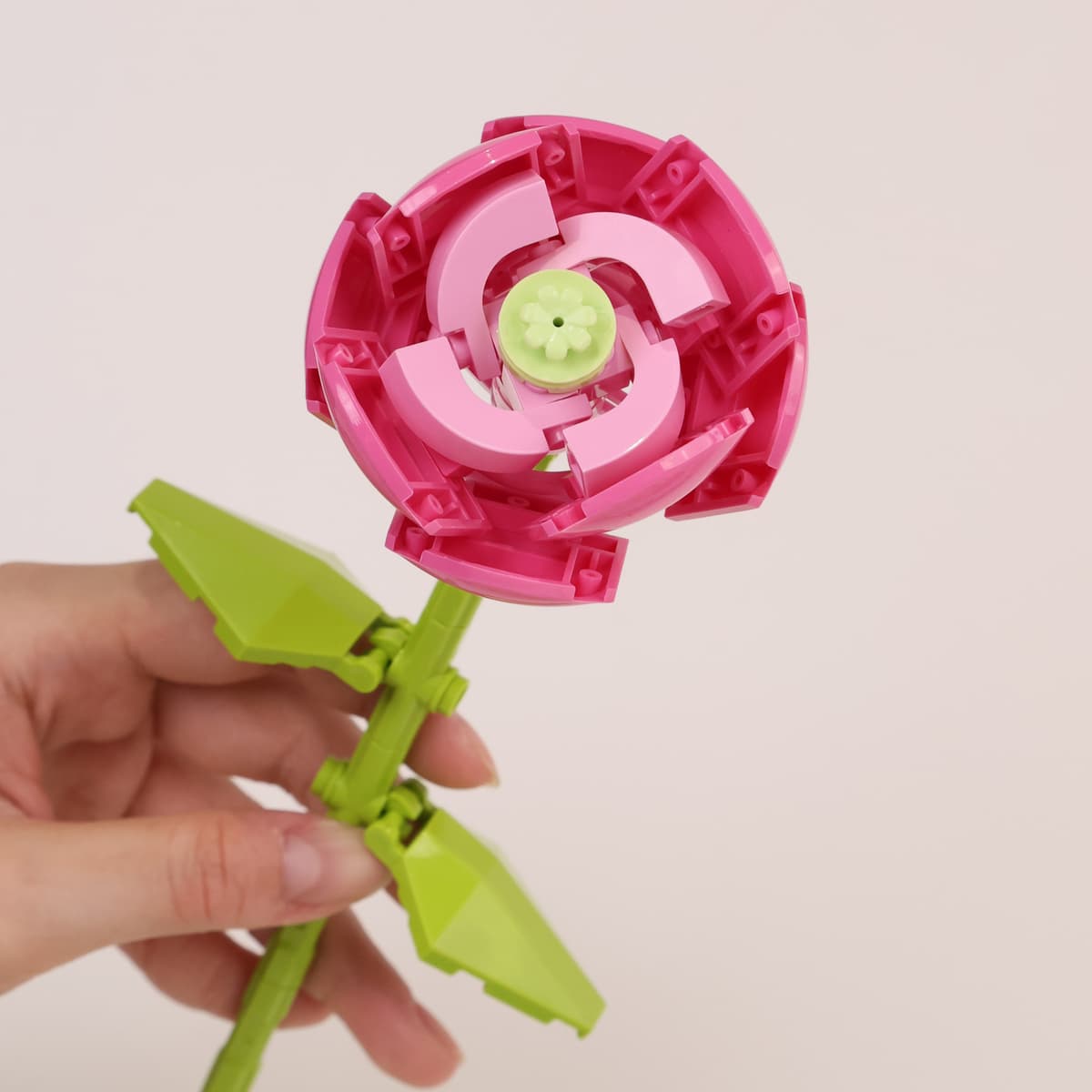Peony