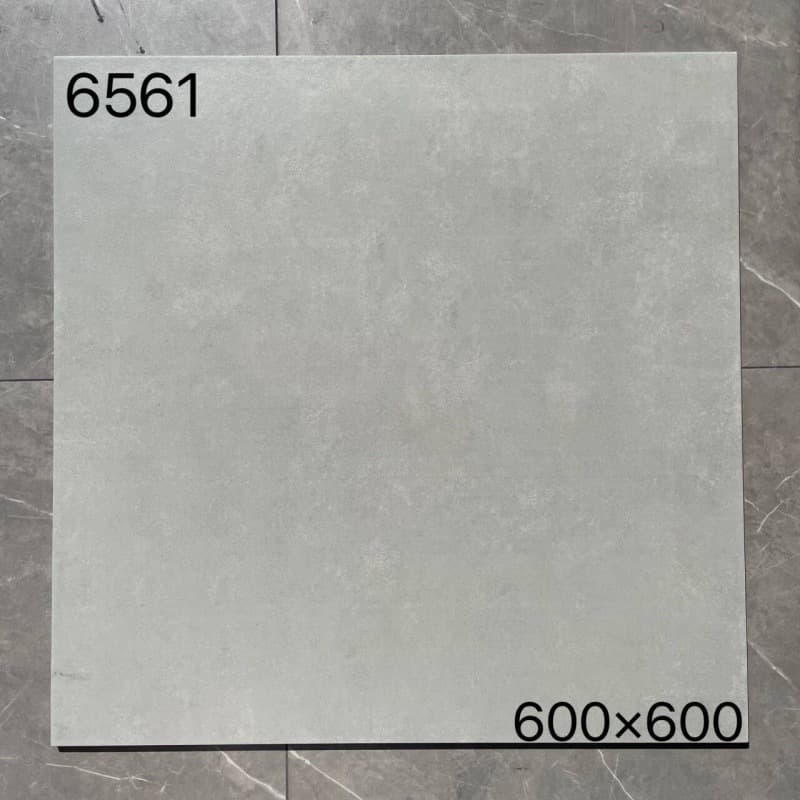 6561