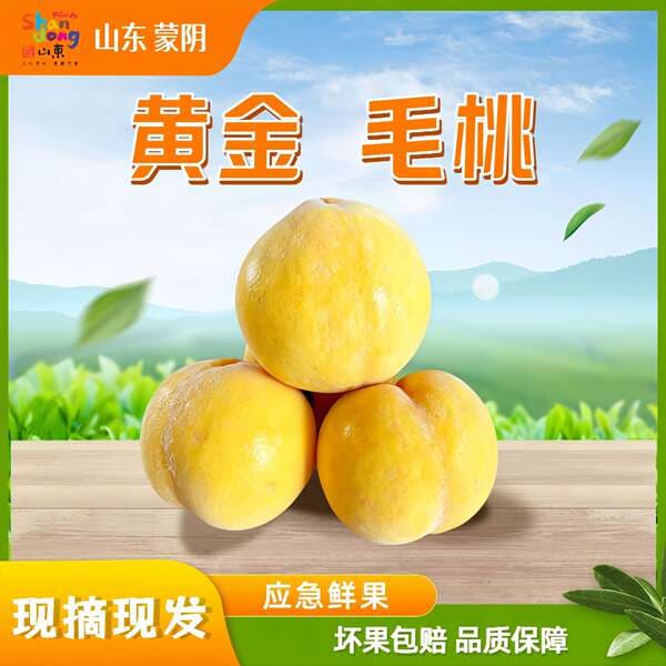 Shandong Yellow Peaches, Seasonal Fruit, Mengyin Yellow Peaches, Free Shipping, Direct Delivery from the Place of Origin, Yellow Peaches, One-Piece Drop Shipping