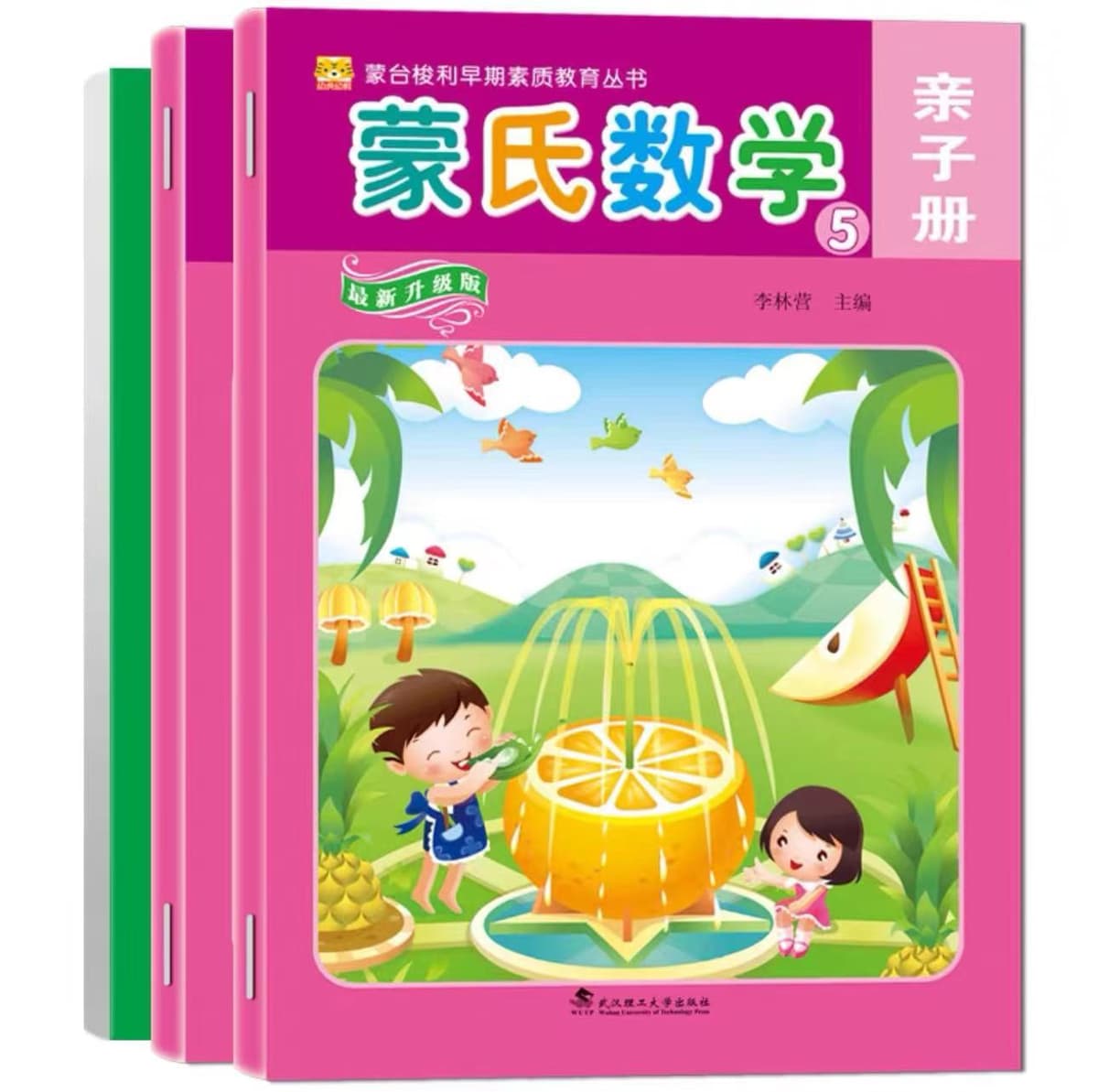Upgraded Montessori Mathematics Big Class Book ⑤