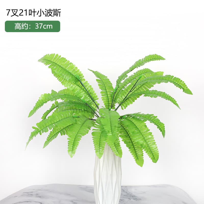 21 leaf small persian