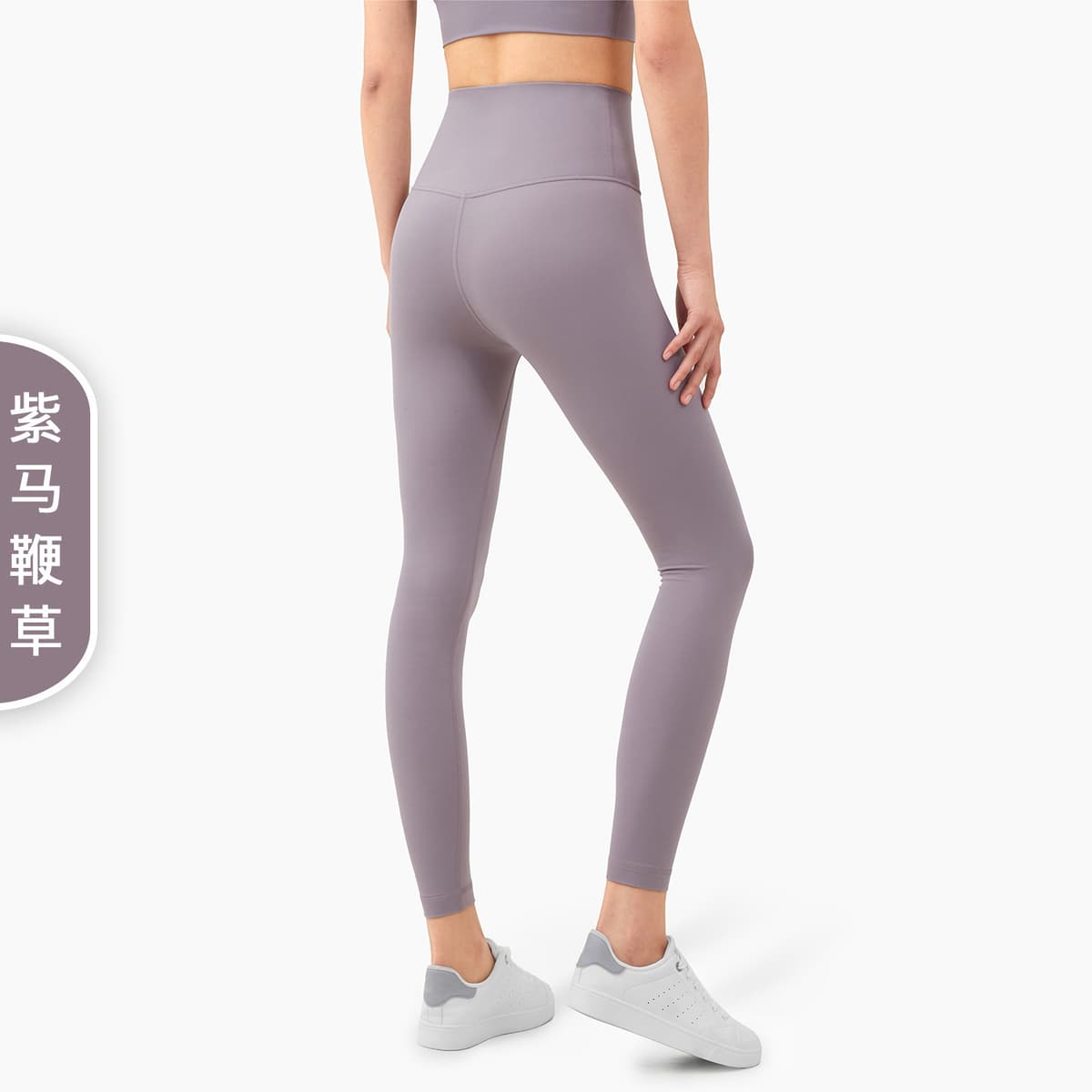 Purple verbena (upgraded fifth generation hip line)