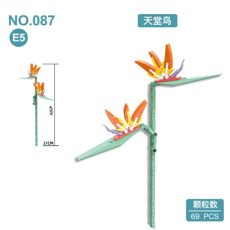 087e5 bird of paradise