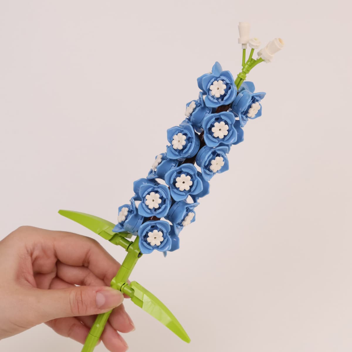 Delphinium