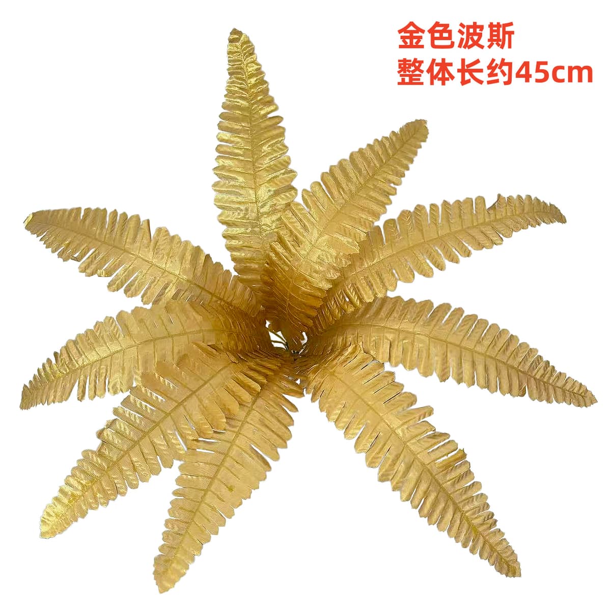 9-leaf golden persian (large leaf)