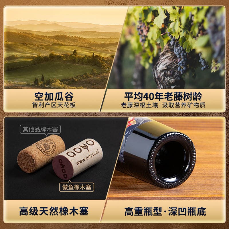 Aoyu Chilean Original Imported Red Wine, Dry Red Wine, Fruit Wine, Whole Box Wholesale, Agent Distribution, Gift Delivery 5