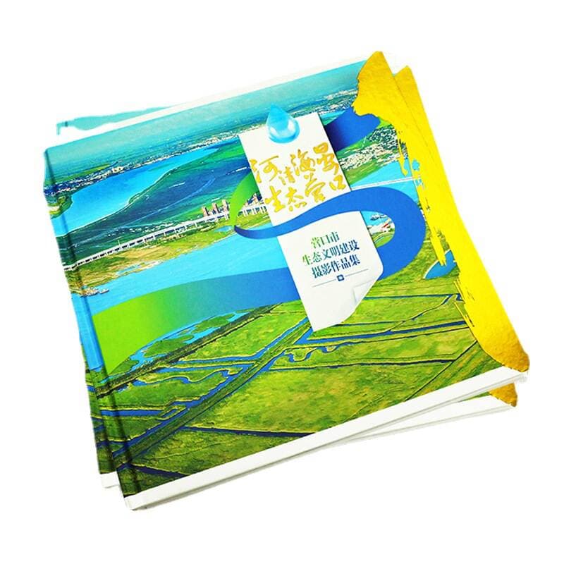 Exhibition Brochure Album Instructions Brochure Folding Printing Poster Magazine Book Journal Guangdong Printing Manufacturer 5