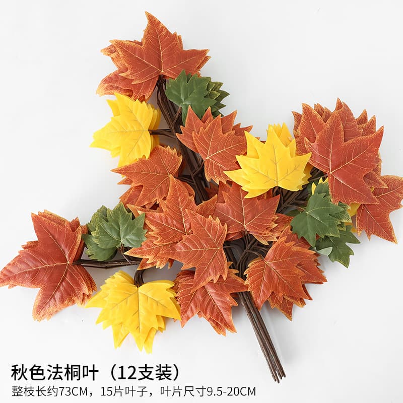 Autumn paulownia leaves