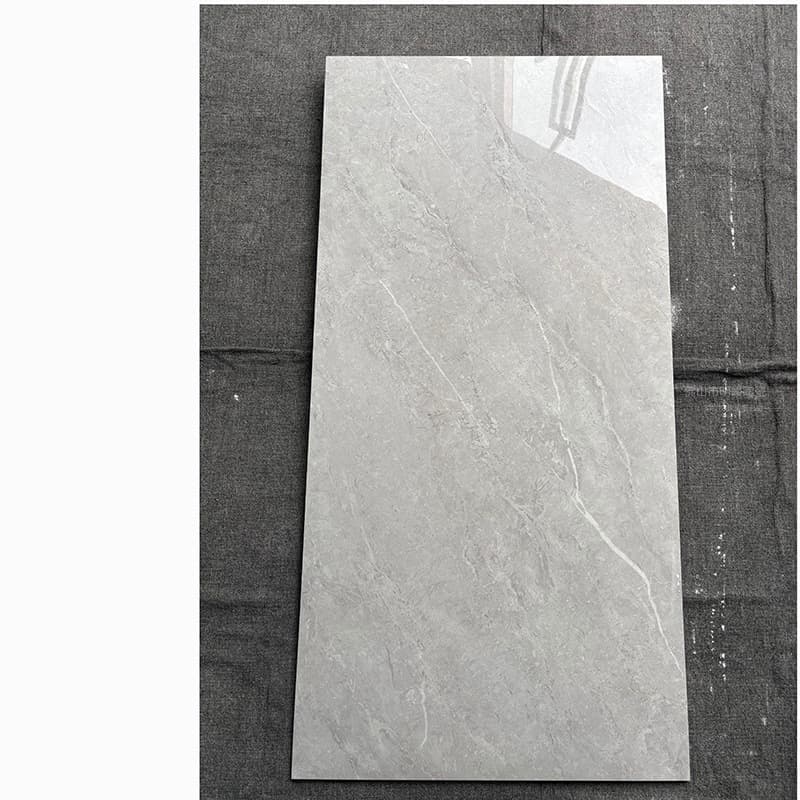 Style 20 all-ceramic appendix g