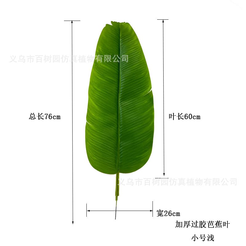 Small light color (total length 76cm, leaf length 60cm, width 26cm)