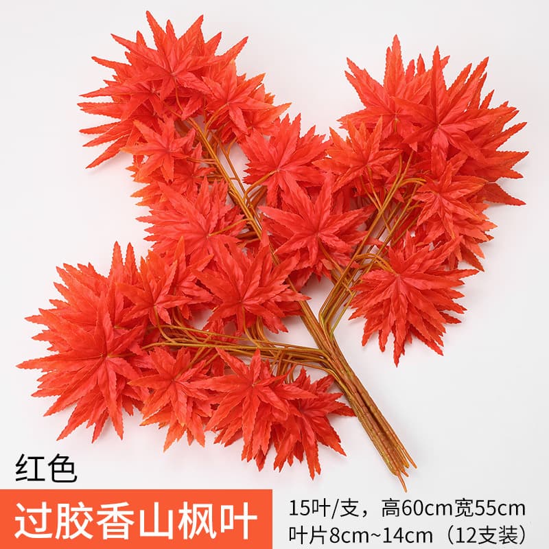 Pogue Fragrant Mountain Maple Leaf Red
