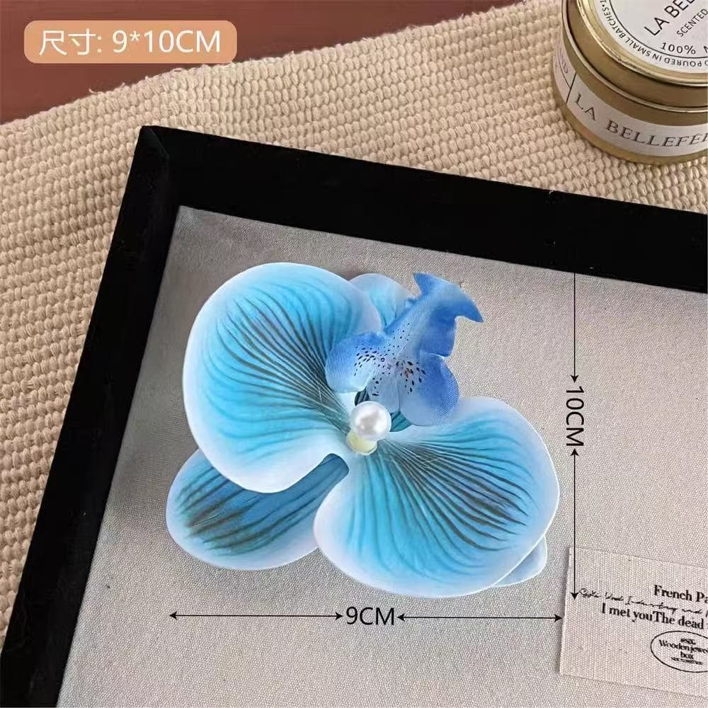 5081 phalaenopsis-iris blue