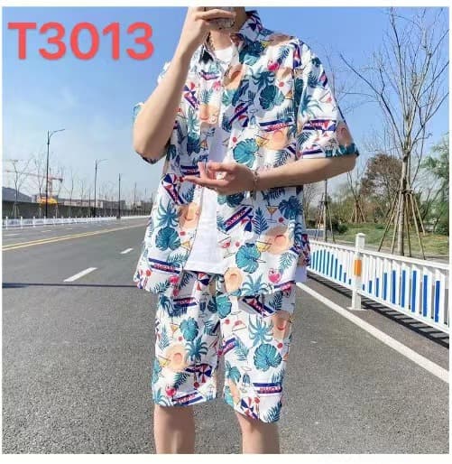 T3013 White