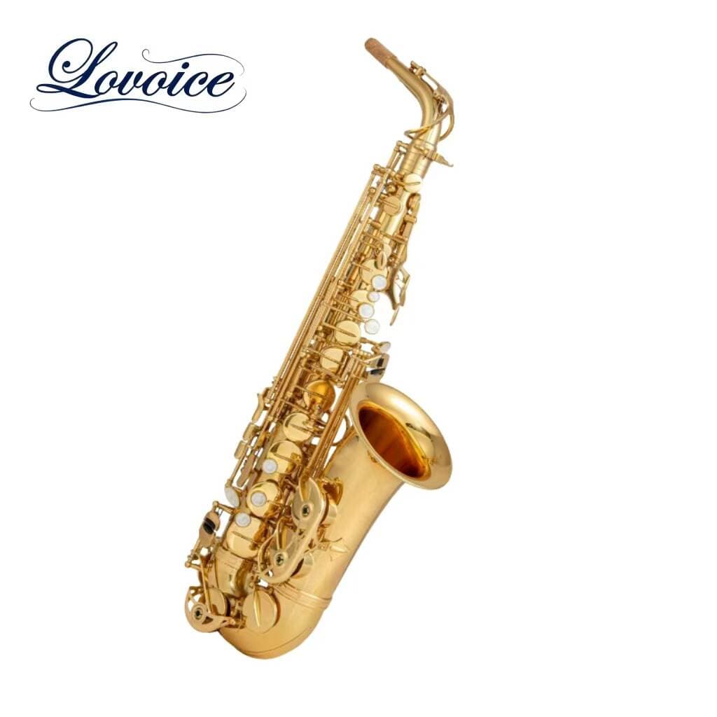 Supply of Export Goods, Factory Direct Sales, E-Flat Alto Saxophone, 4