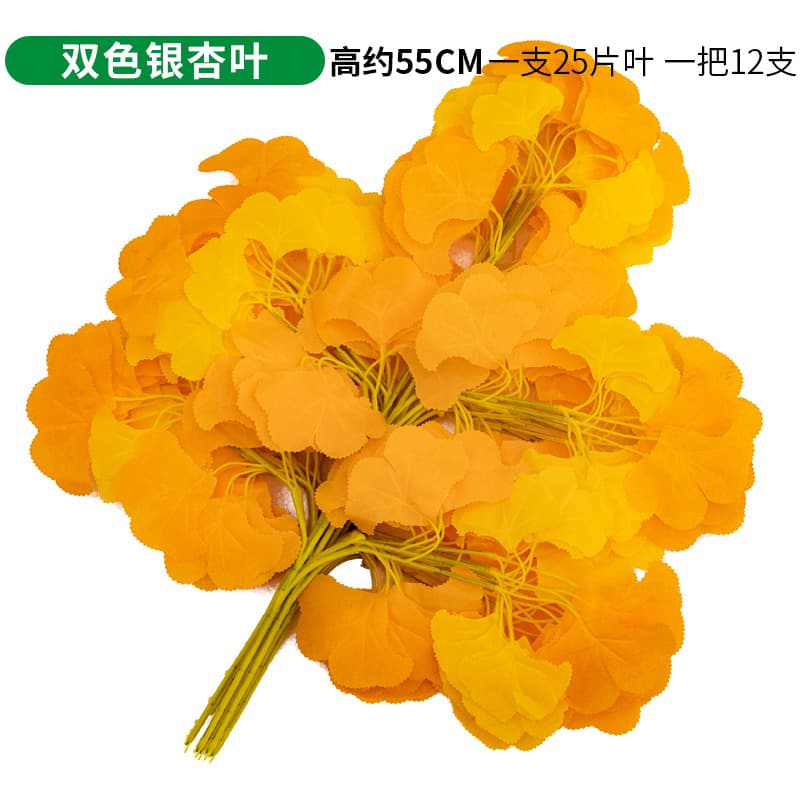 Single bicolor ginkgo leaf