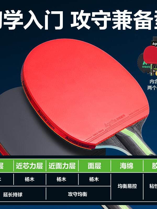 Deli Angnet Two-Star and One-Star Table Tennis Racket Horizontal Racket for Sports Training and Competition, Single Pack with 2 Balls 4