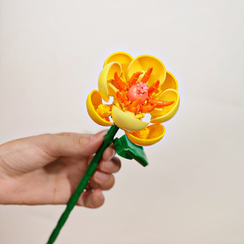 Golden camellia