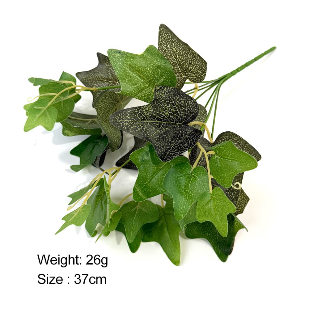 7 forks of sweet potato leaves