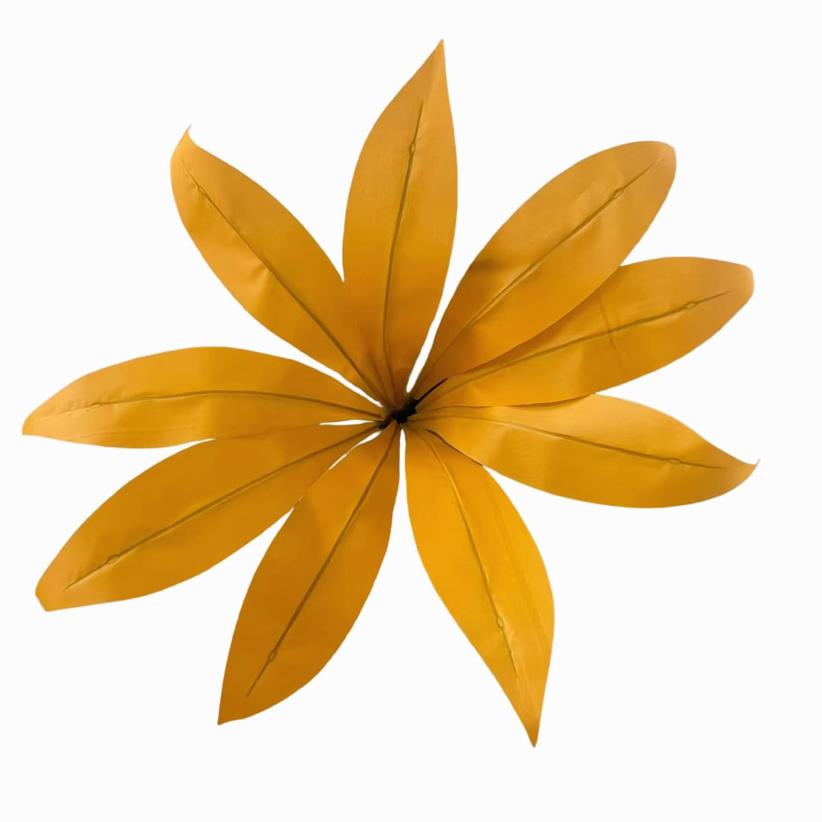 9-leaf orange