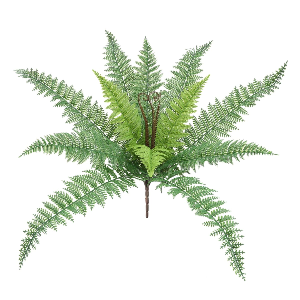 YH064-850-15 Persian Leaf