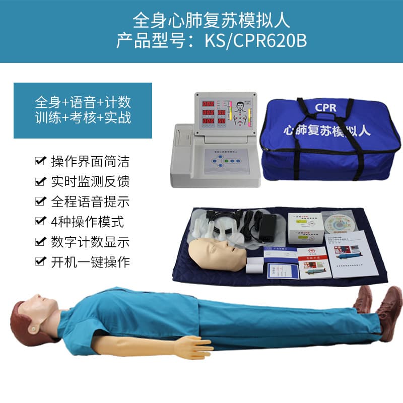 Full body voice + counting + assessment