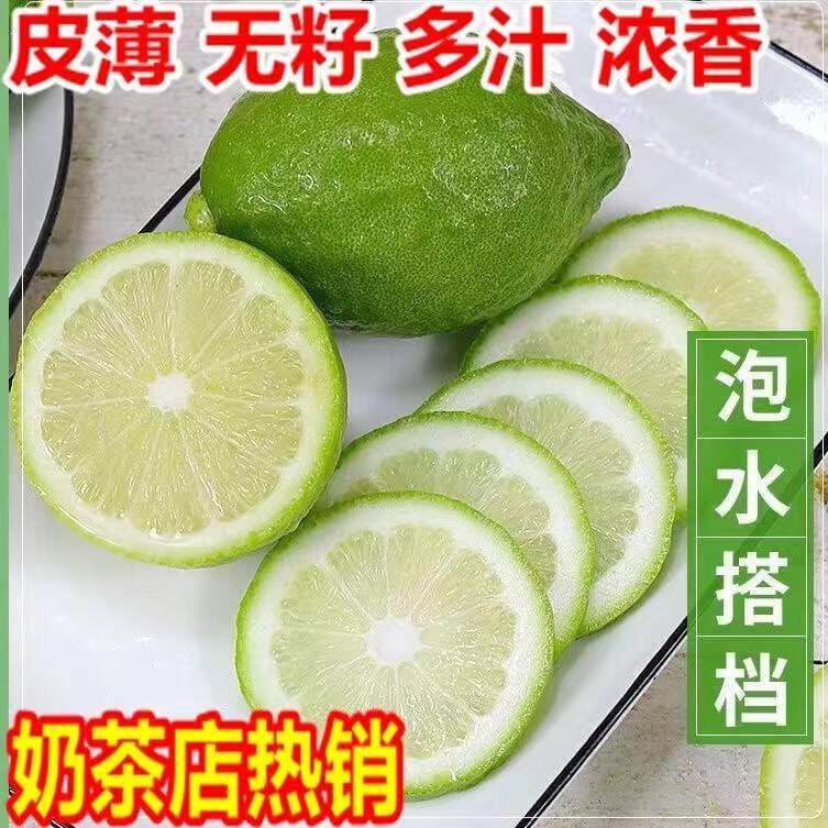 Four Seasons Guangdong Perfume Lemon Seedlings Fruit Saplings Milk Tea Shop Potted Ground Planting Taiwan Green Lemon Seedlings Wholesale with Soil Balls 4
