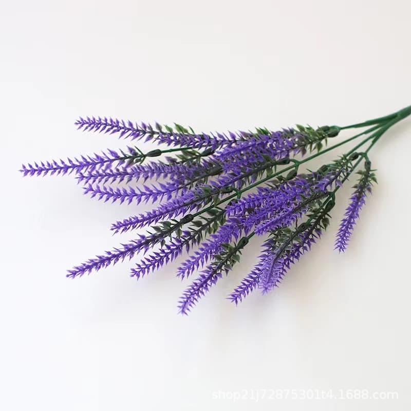 5 fork wheat purple]