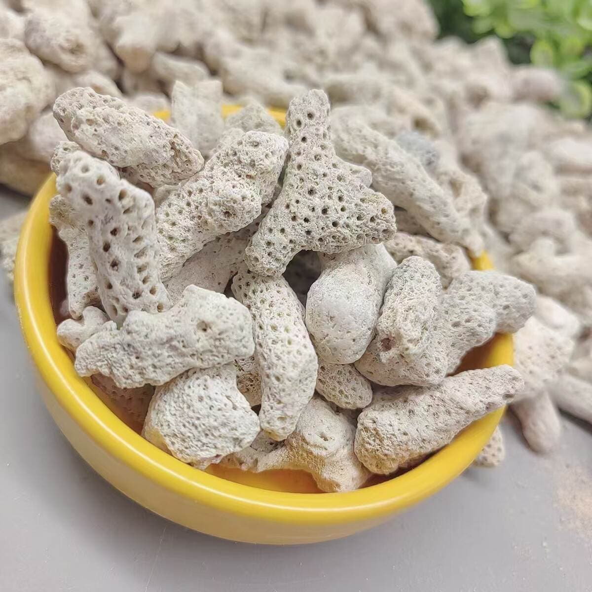 Source Supply of Spot Coral Sand, Coral Bone, Fish Pond Aquarium Filtration Water Treatment Fish Tank Landscaping Coral Stone 3