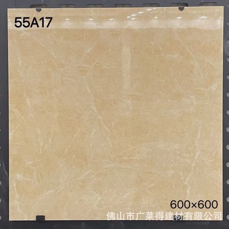 55A17