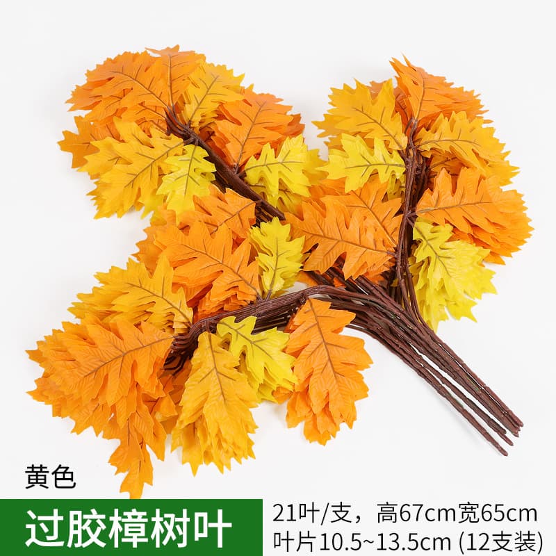 Rubber camphor leaves yellow