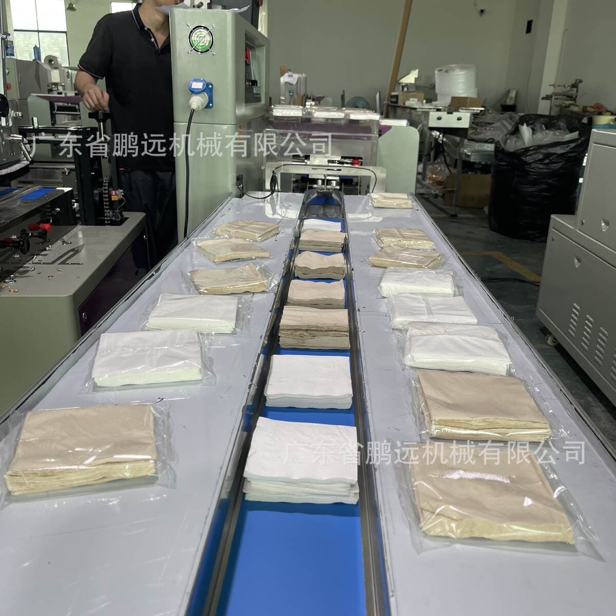 Hotel Commercial Napkin Packaging Machine Catering Restaurant Tissue Paper Packaging Machine Sanitary Napkin Pillow Packaging Machinery 2