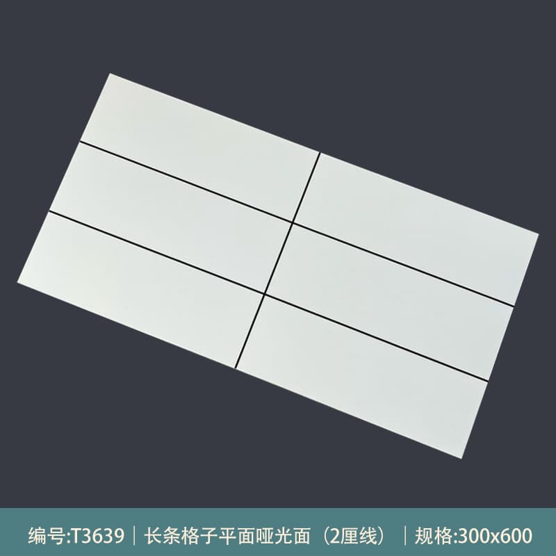 T3639 [matte Style]]