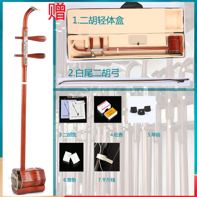 Redwood Bone Carving + Light Body Box + Standard