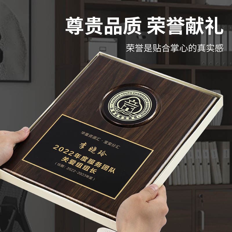 Fərdi Bərk Ağac Kristal Medal və Plaket (Françayzinq və Agentlər üçün) 4