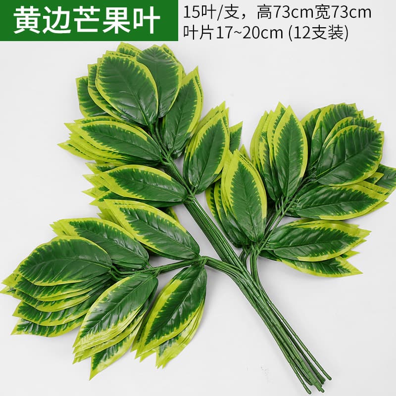 Mango leaves with yellow edges