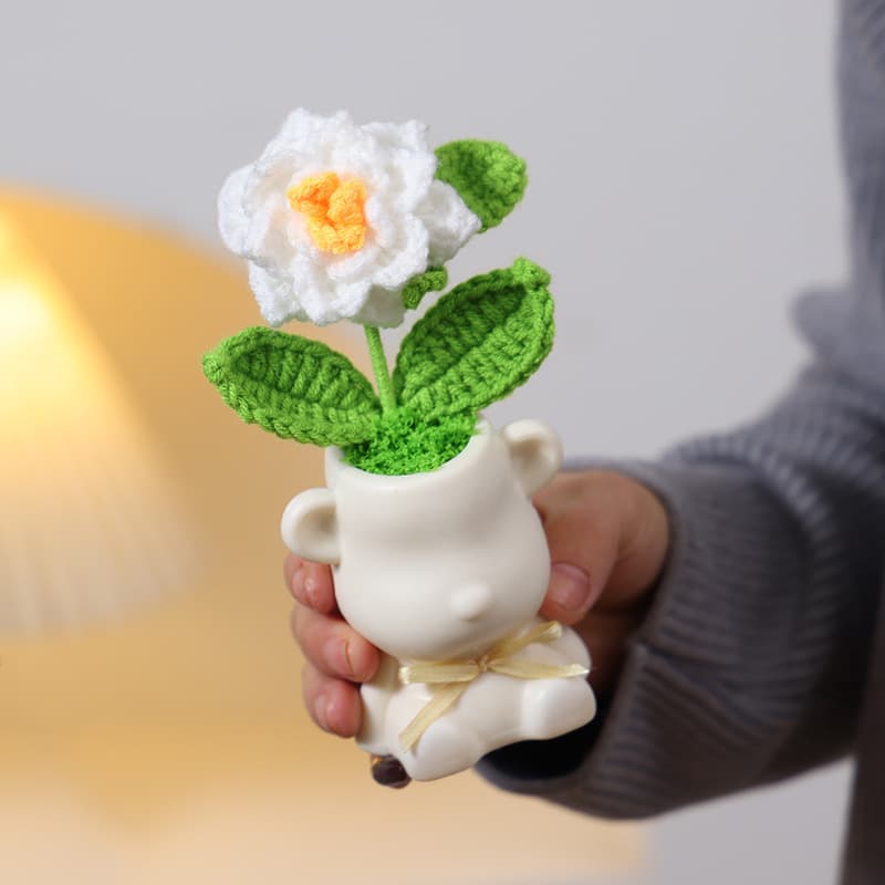 Gardenia potted plant