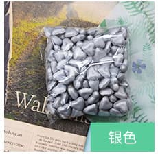Silver 20g