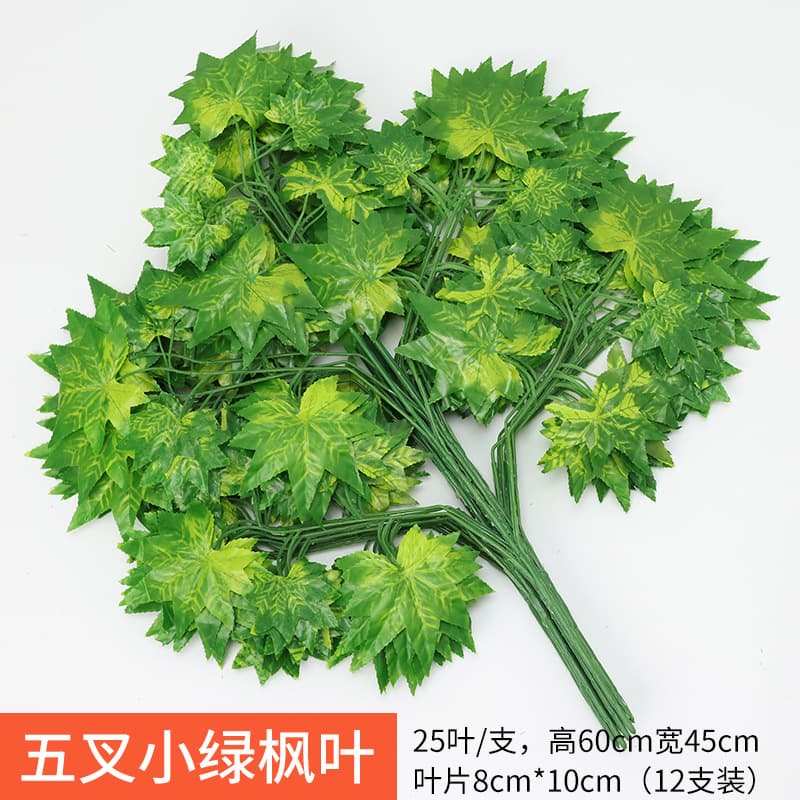Five-fork small green maple leaf