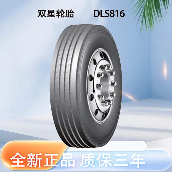 Double Star 295/80R22.5 DLS816 naxışlı, aşınmaya davamlı, yükdaşıyan vakuum şini