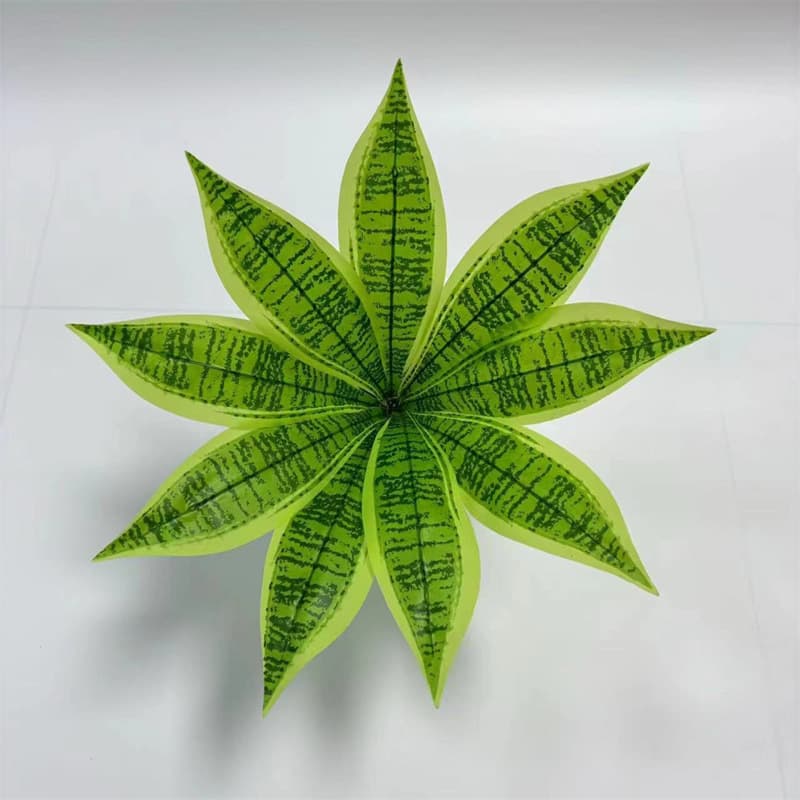 9 leaves of tiger orchid leaves