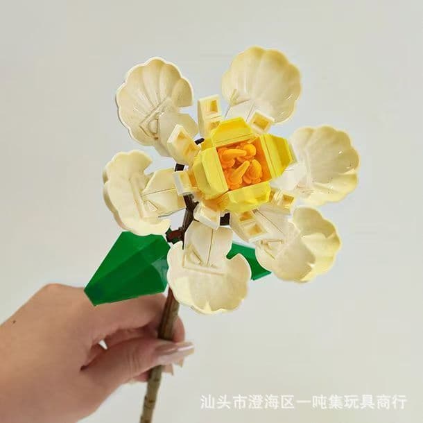 Gardenia