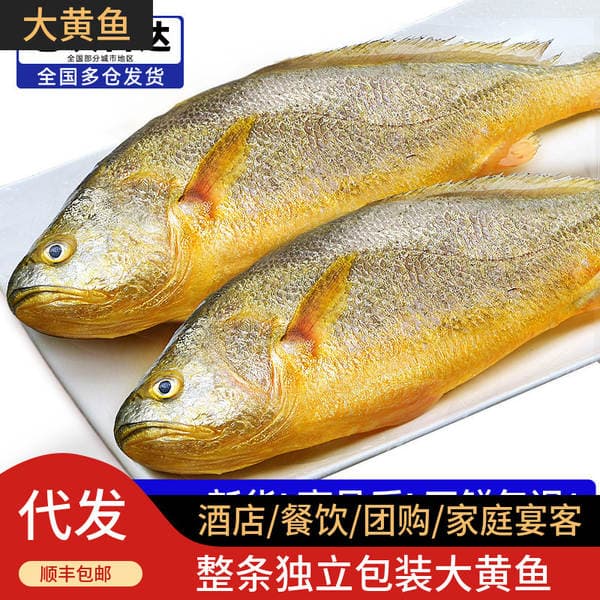 Frozen Fresh Sea-Caught Yellow Croaker, Ningde Small Yellow Croaker, Yellow Croaker Fillet for Catering and Commercial Wholesale