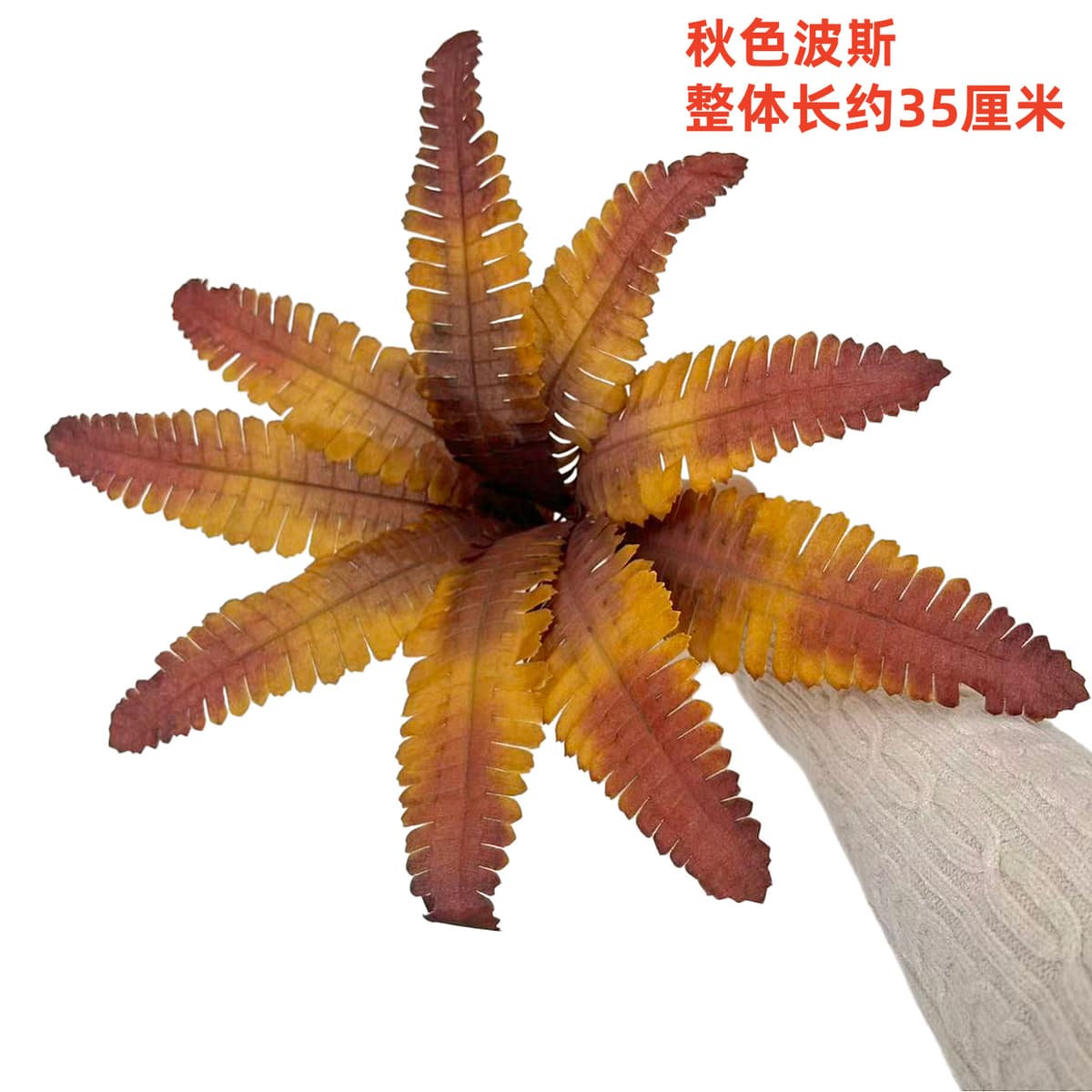 9-leaf autumn persian (small leaf)