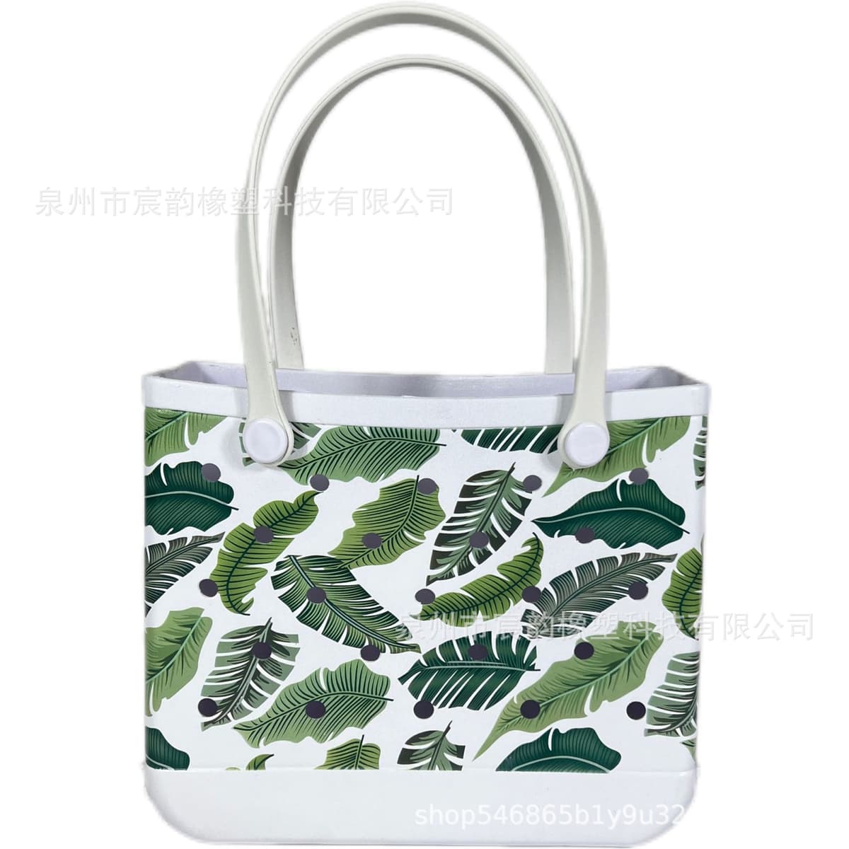 Leaves on white background