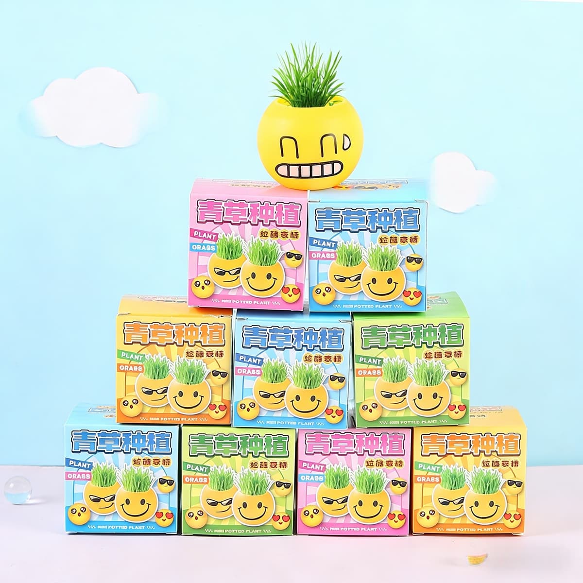 Cartoon expression potted plant