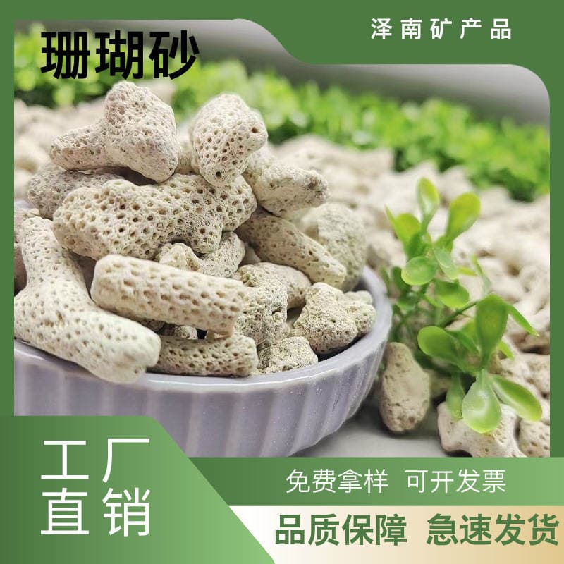 Source Supply of Spot Coral Sand, Coral Bone, Fish Pond Aquarium Filtration Water Treatment Fish Tank Landscaping Coral Stone 1